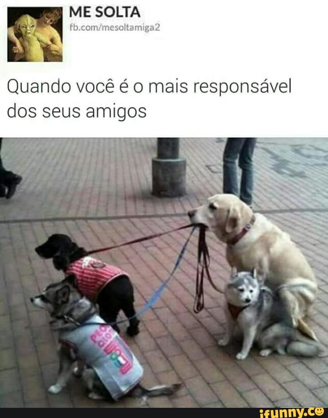 ME SOLTA
Quando você é o mais responsável
dos seus amigos