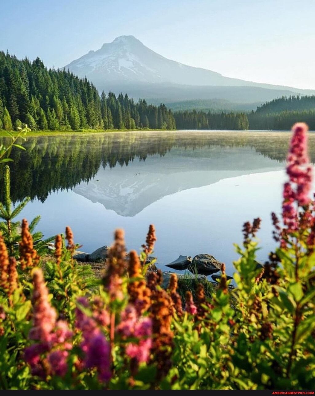 Trillium Lake Mt Hood National Forest Oregon lukekellytravels forest ...