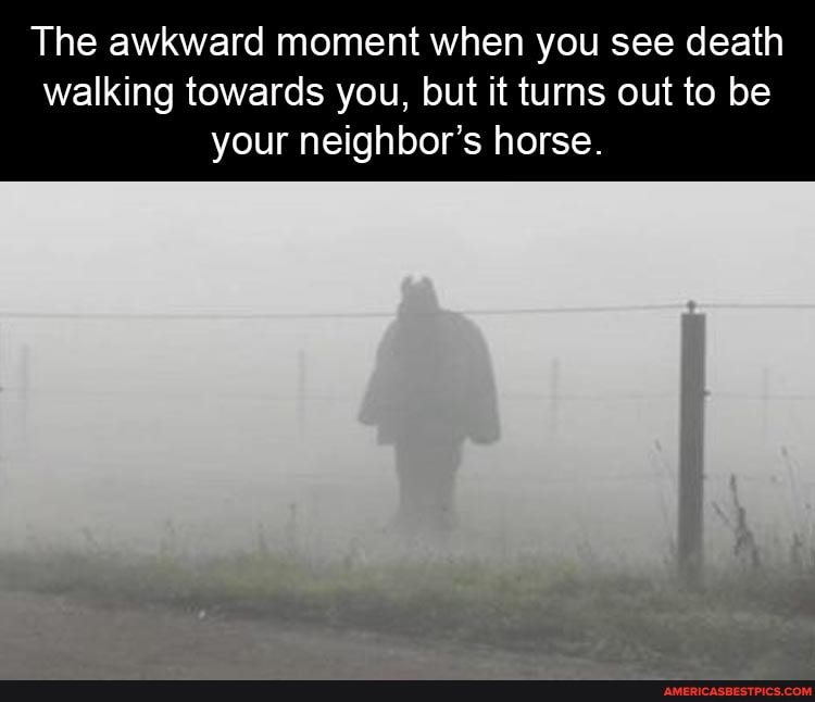 The awkward moment when you see death
walking towards you, but it turns out to be your neighbor's horse.