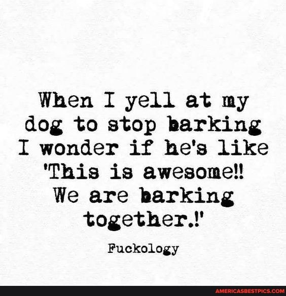 When I yell at my dog to stop barking
I wonder if he's like
'This is awesome!!
We are barking together,"
Puckology