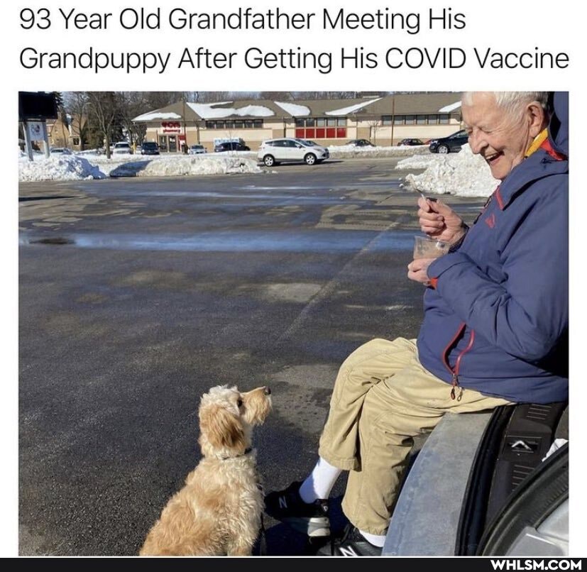 93 Year Old Grandfather Meeting His
Grandpuppy After Getting His COVID Vaccine