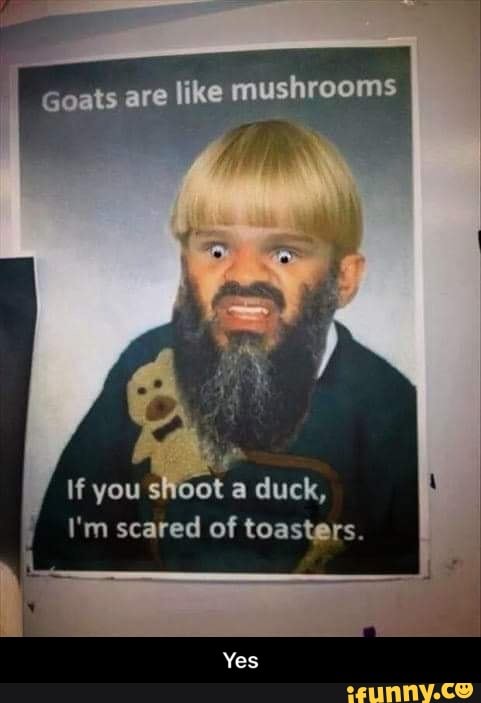 Goats are like mushrooms
If you sI ot a duck,
I'm scared of toasters. - Yes
