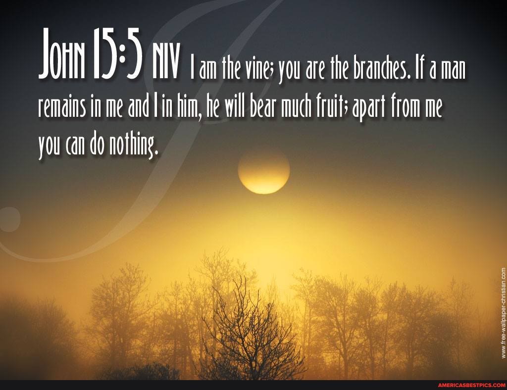 lon am te vine you are the branches. If man
remains in me and in him, he will bear much fruits apart from me you can do nothing.