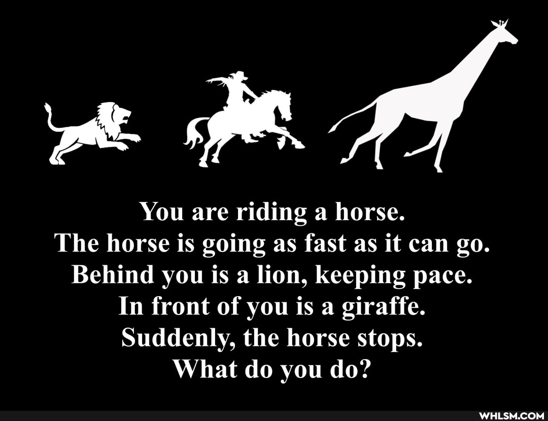 You are riding a horse.
The horse is going as fast as it can go.
Behind you is a lion, keeping pace.
In front of you is a giraffe.
Suddenly, the horse stops.
What do you do?