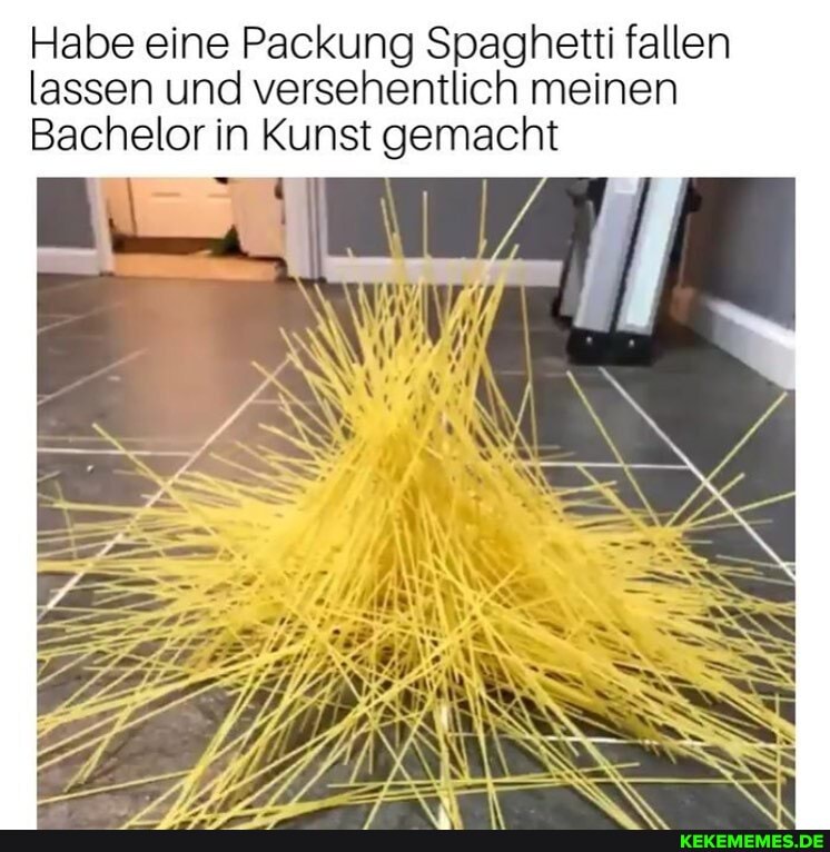 Habe eine Packung Spaghetti fallen lassen und versehentlich meinen
Bachelor in Kunst gemacht
77