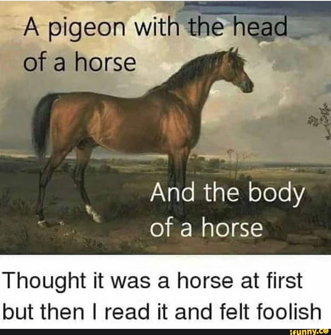 -A pigeon with the I of a
And the of a horse
Thought it was a horse at first but then I read it and felt foolish