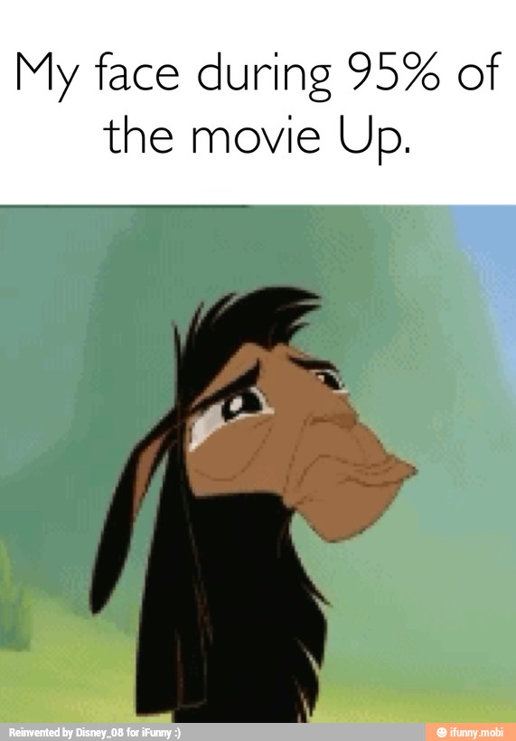 My face during 95% of
the movie Up.