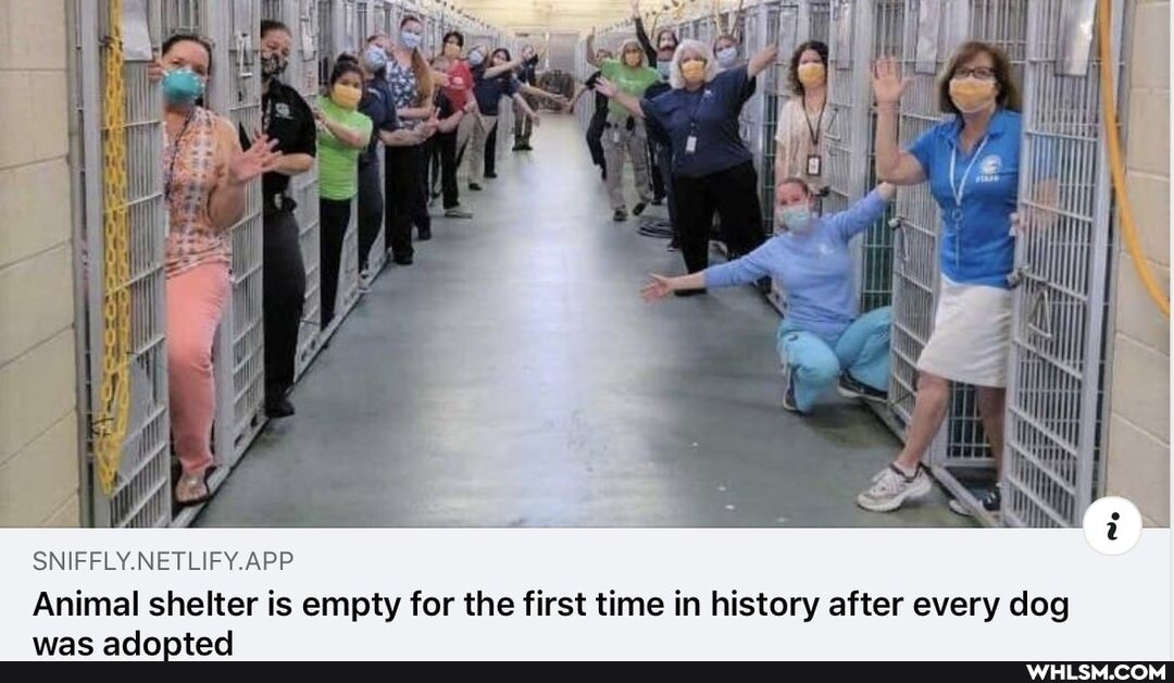 SNHELY NE APP.
Animal shelter is empty for the first time in history after every dog