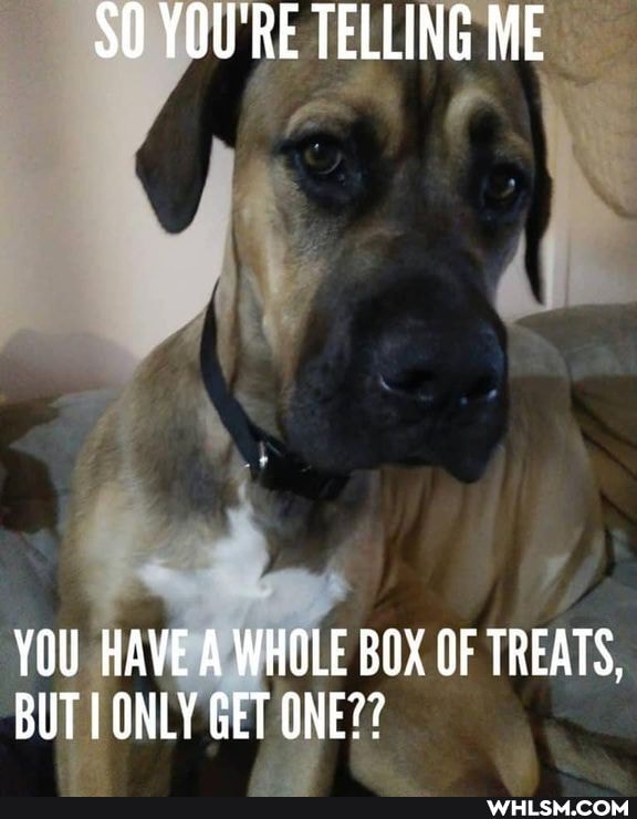 CA YOU'RE TELLING ME
YOU HAVE A WHOLE BOX OF TREATS,
BUT I ONLY GET ONE??