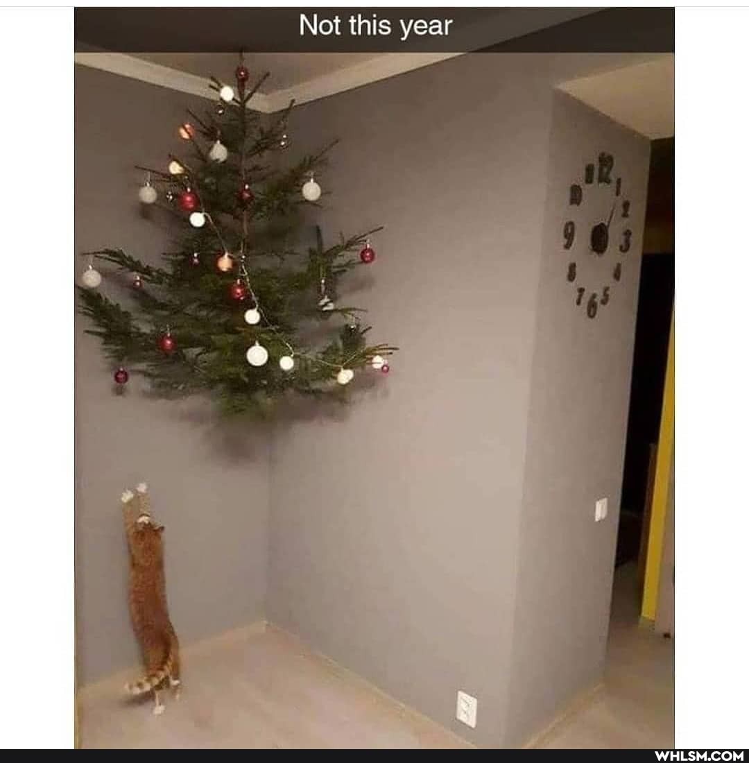 Not this year