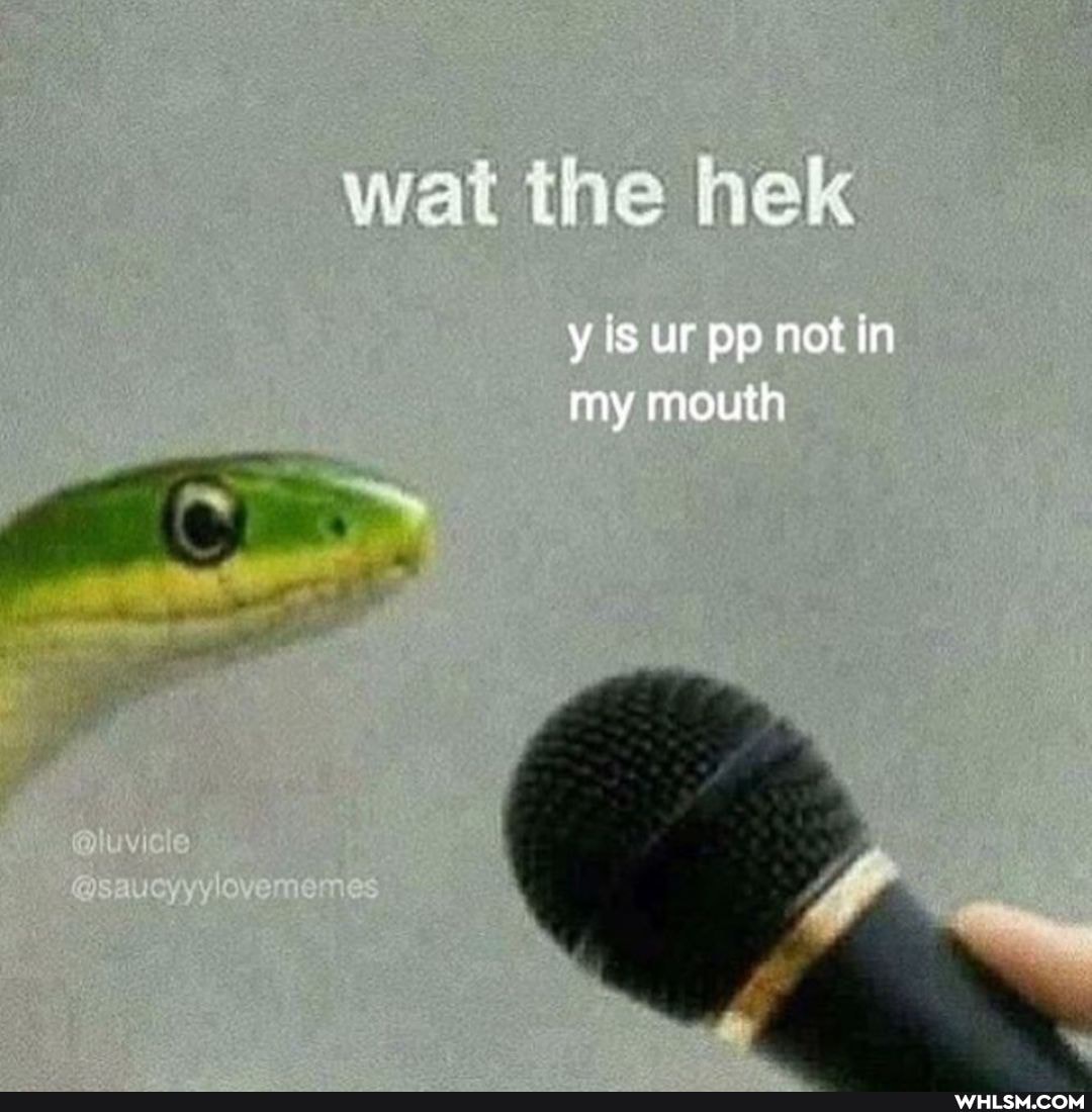 yis ur pp not my mouth