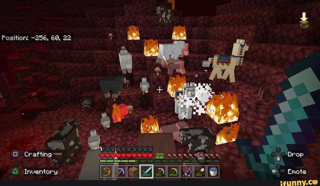 Position: -256, 60, 22 & Inventory Emote - iFunny