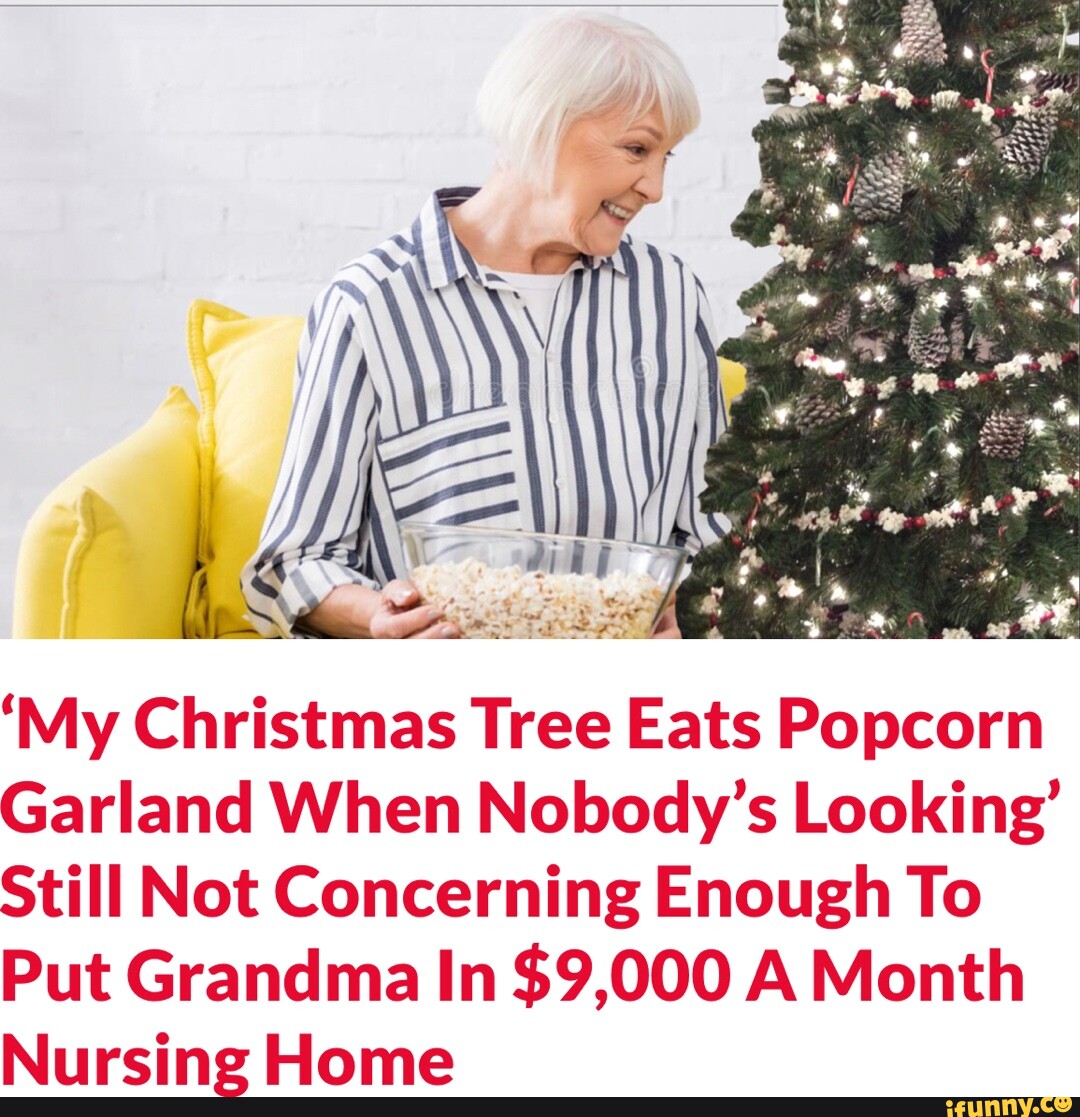 'My Christmas Tree Eats Popcorn Garland When Nobody's Looking' Still