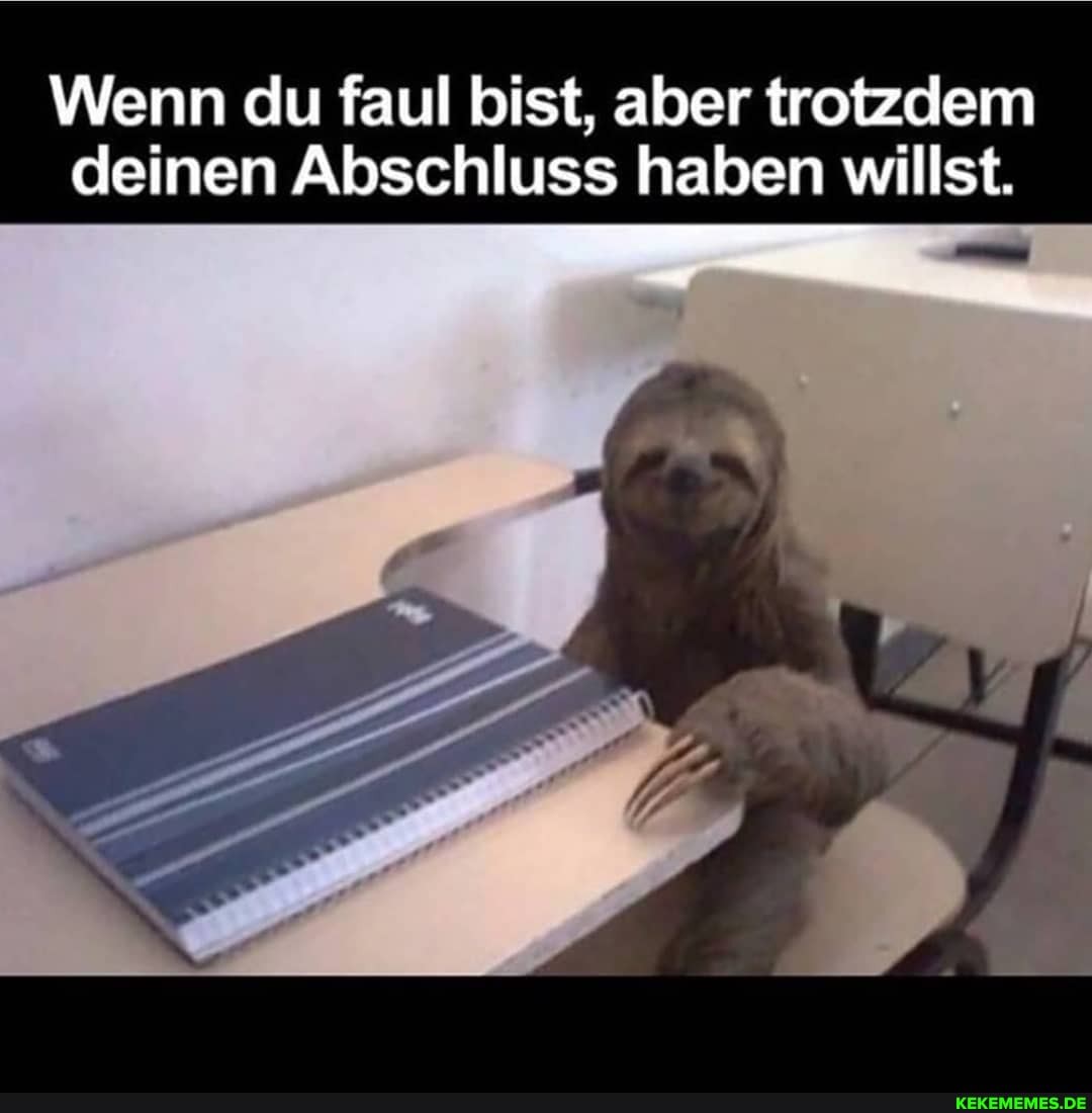 Wenn du faul bist, aber trotzdem deinen Abschluss haben willst.