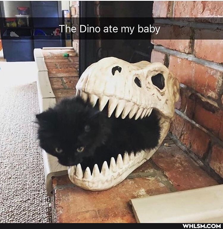 The Dino ate my baby