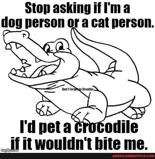 Stop asking ifI'ma dog person or a cat person.