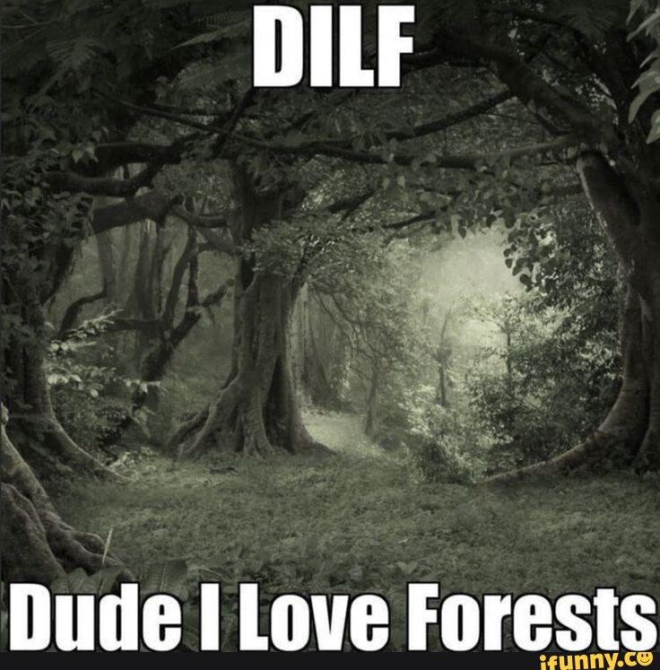 DILF Dude I Love Forests - iFunny