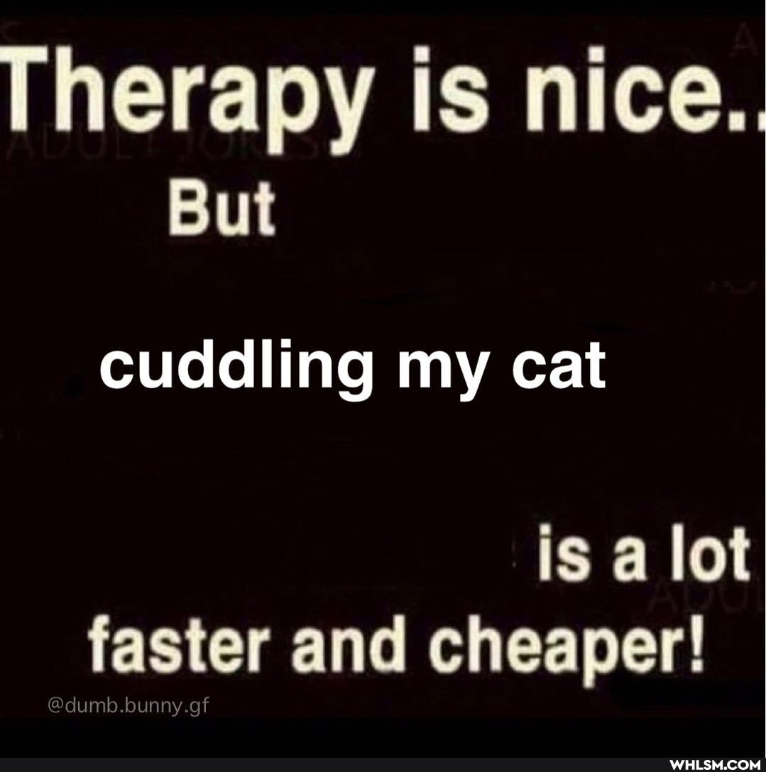 Therapy is nice..
But
cuddling my cat
is a lot faster and cheaper!