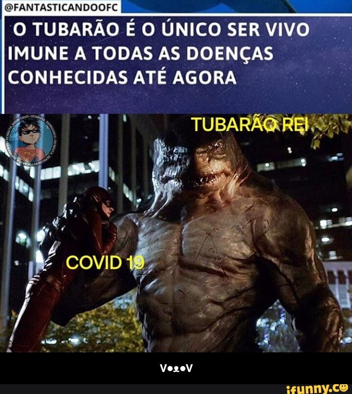 CGFANTASTICANDOOFC
O TUBARÃO É O ÚNICO SER VIVO IMUNE A TODAS AS DOENÇAS CONHECIDAS ATÉ AGORA - V●ᴥ●V