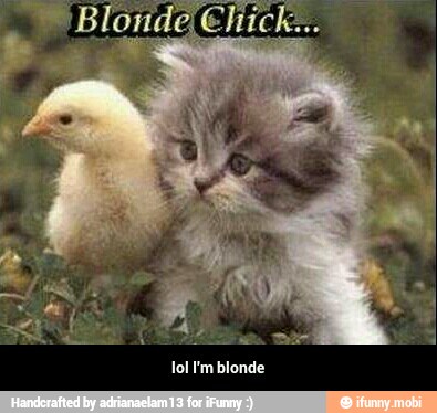 lol I'm blonde