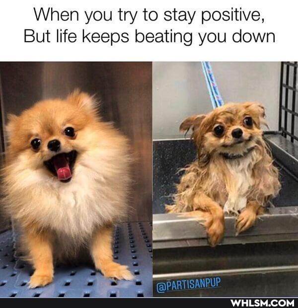 When you try to stay positive,
But life keeps beating you down