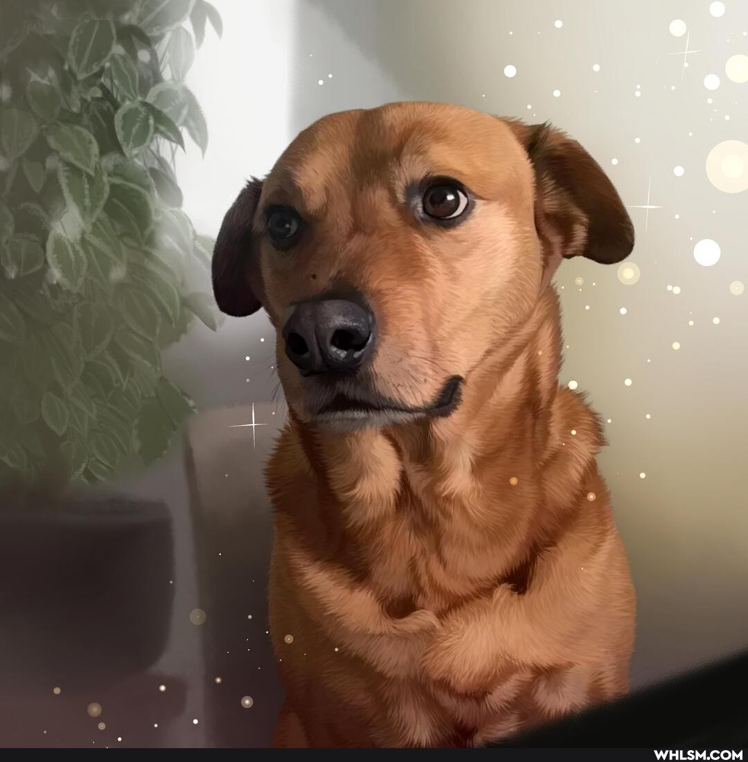 cat, art, dog