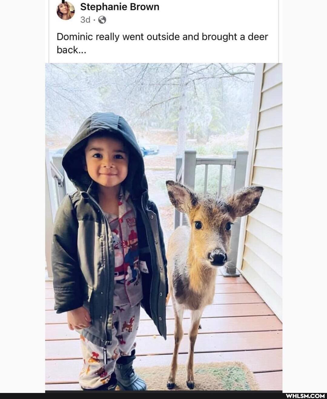 Stephanie Brown
Sd
Dominic really went outside and brought a deer back...