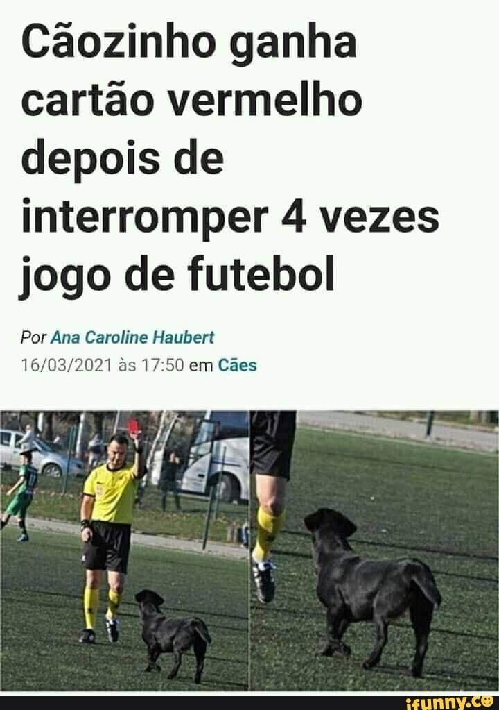 Cãozinho ganha cartão vermelho depois de interromper 4 vezes jogo de futebol
Por Ana Caroline Haubert s 17 50 em Cães