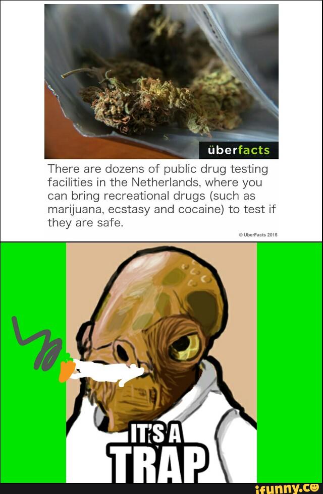 uberfacts>
There are dozens of public drug testing
facilities in the Netherlands, where you
Can bring recreational drugs (such as
marijuana, ecstasy and cocaine) to test if
they are safe.
,unmmms