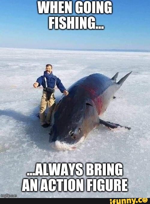 WHEN GOING FISHING ALWAYS BRING AN ACTION FIGURE - iFunny