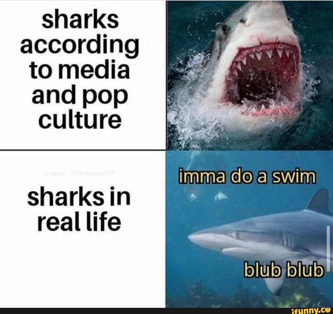 sharks according to media and pop ff culture
imma do swim
blu
IF
sharks in real life