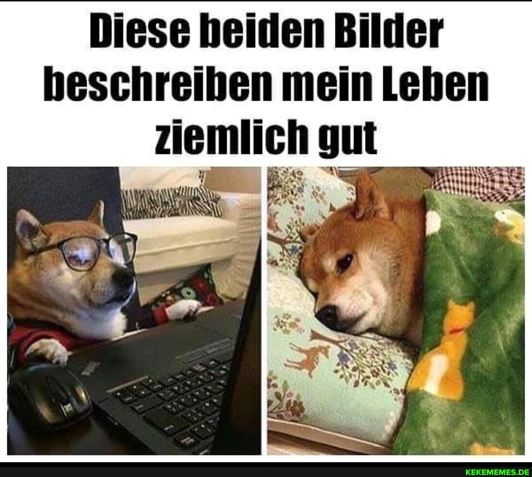 Diese beiden Bilder heschreiben mein Leben ziemlich gut