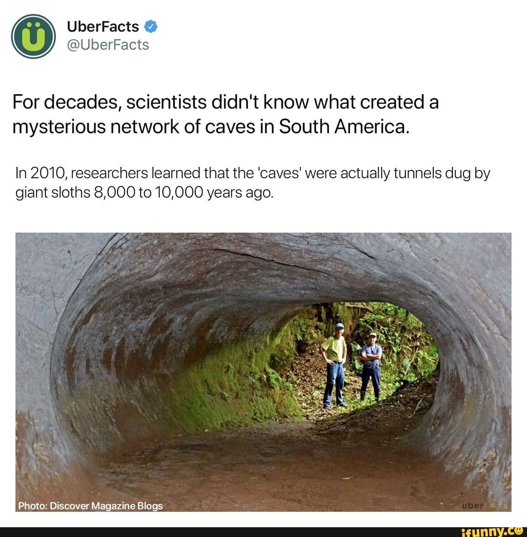 For decades, scientists didn't know what created a mysterious network