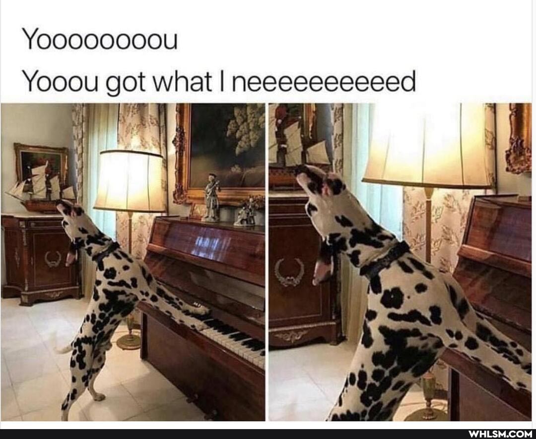 ot what I neeeeeeeeeed