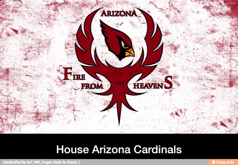 House Arizona Cardinals - House Arizona Cardinals