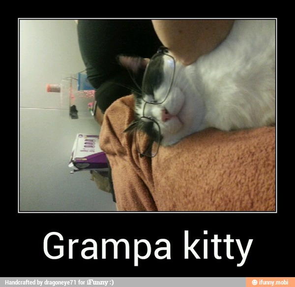 Grampa kitty - Grampa kitty
