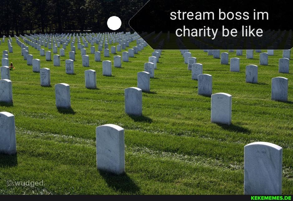 stream boss im charity be like