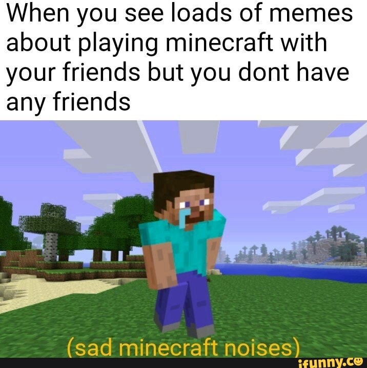 When you see loads of memes about playing minecraft with your friends ...