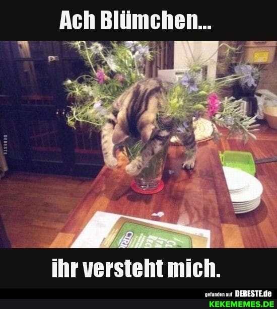 Ach Blümchen...