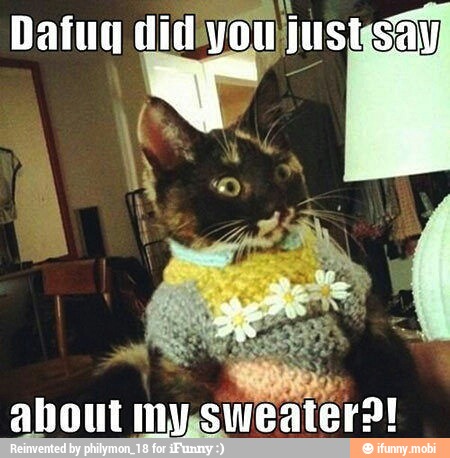 about
my,sweater?!