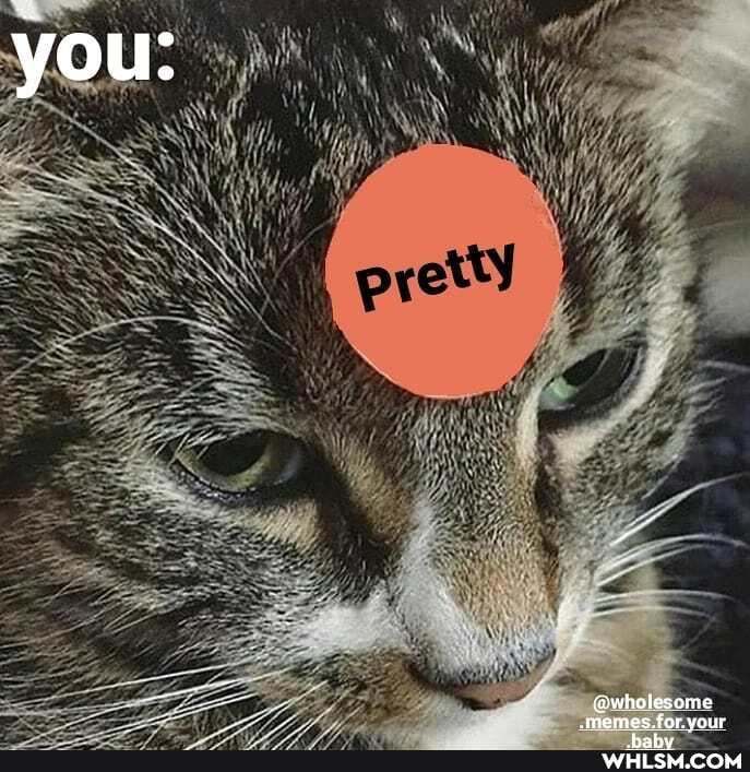 you:
@wholesome memes for vour