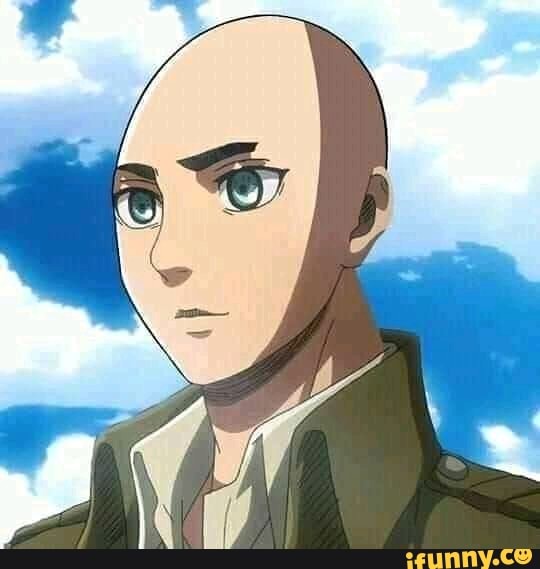 shitpost, attackontitan, animes, todorokicareca
