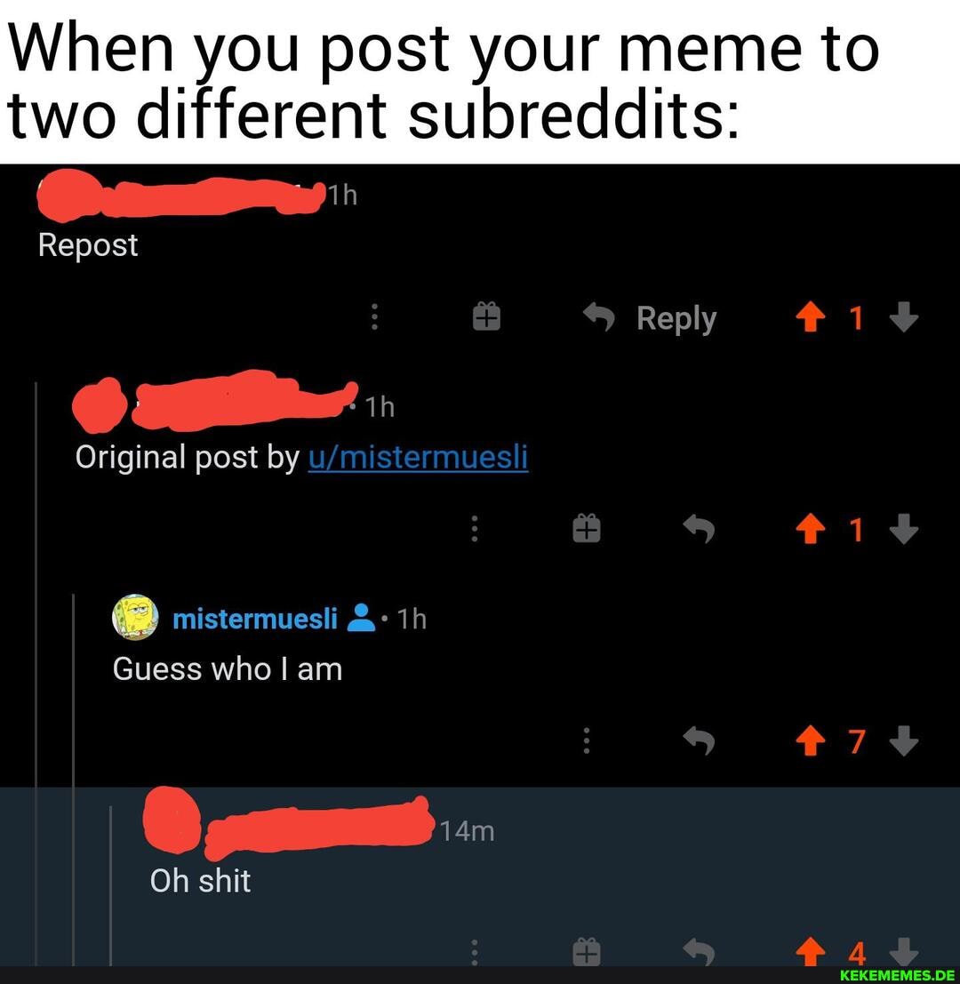 When you post your meme to
two different subreddits:
Repost
Reply 1 th
Original post by mistermuesli
Guess who I am
@ sums...
Oh shit