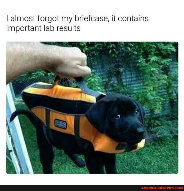 I almost forgot my briefcase, it contains important lab results