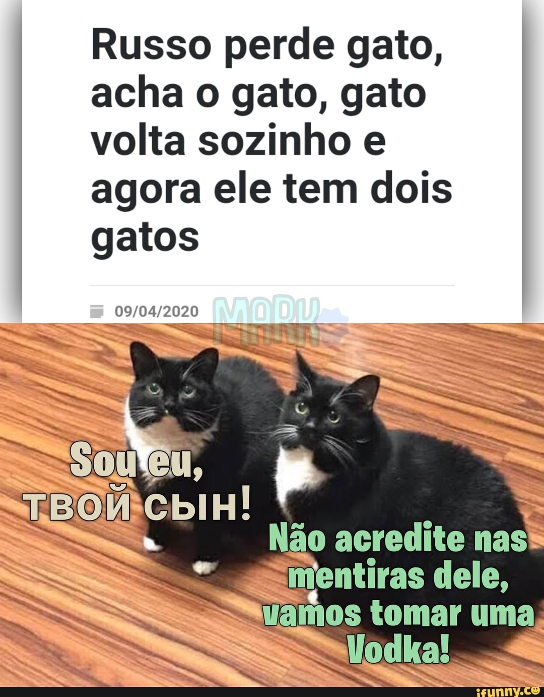 Russo perde gato, acha o gato, gato volta sozinho agora ele tem dois
gatos
EM, ão acredito nas.
Smentiras dele, tomar uma
- .