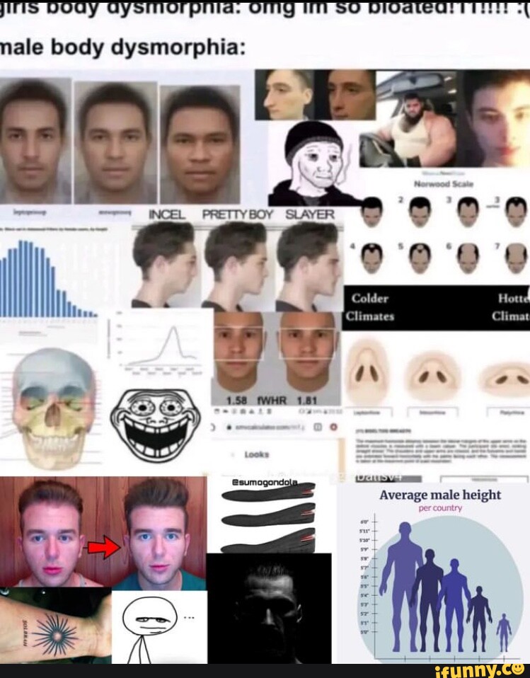 Nale body dysmorphia Average male height iFunny