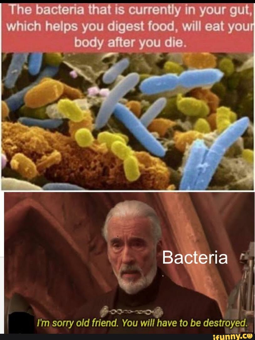 ob
I'm sorry old friend.
You will have to be
destojed