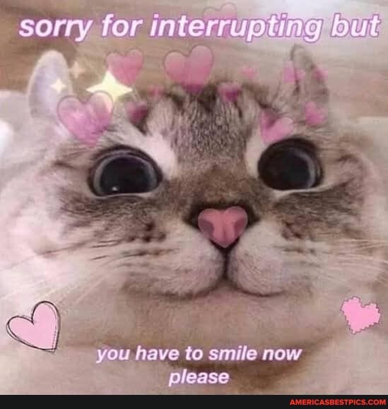 sorry for interrupting
you have to smile now milasieea