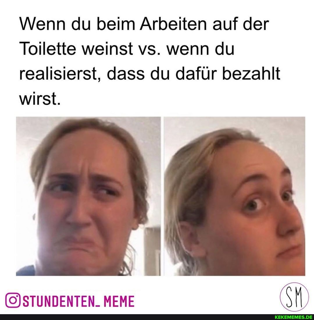 Wenn du beim Arbeiten auf der
Toilette weinst vs. wenn du realisierst, dass du dafür bezahlt wirst.
MEME