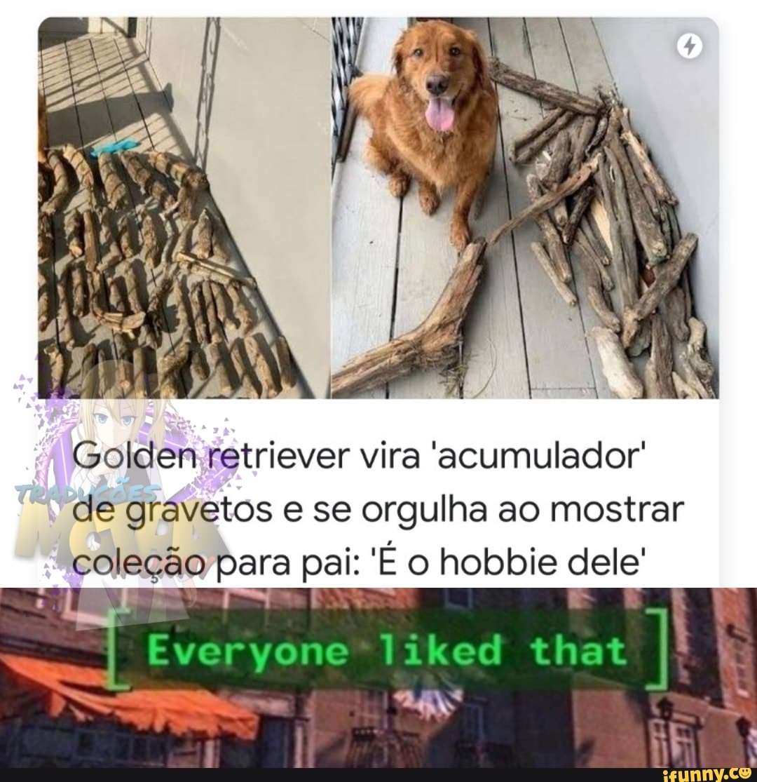 at
th
'É o hobbie dele
liked
de gravetos e se orgulha ao mostrar coleção para pai:
Everyone
Goldenretriever vira 'acumulador'
coleção para pai: